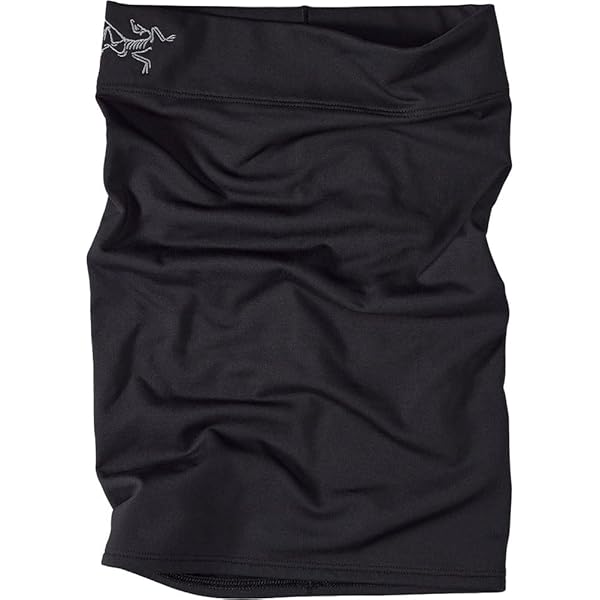 未使用 アークテリクス ロー ライトウェイト ウール バラクラバ 黒L-XL Amazon.co.jp: [アークテリクス] ロー ライトウェイト ウール